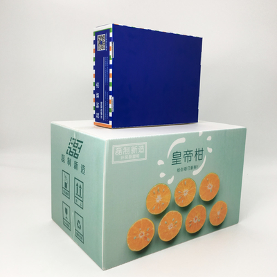 Corrugated Plastic Carton Packaging Agricultural Freshness Retain Food Grade Package Box