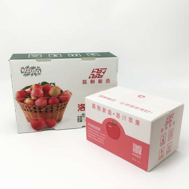 Mould proof CMYK Corrugated Plastic Packaging Boxes For Fruit