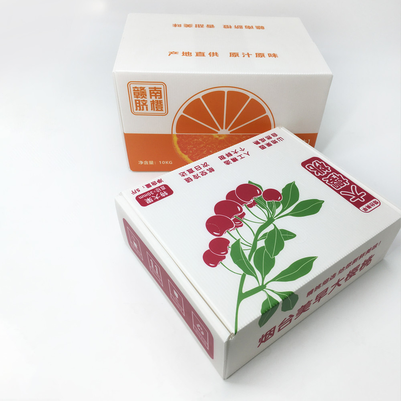 3mm Corrugated Plastic Carton Box for cherries