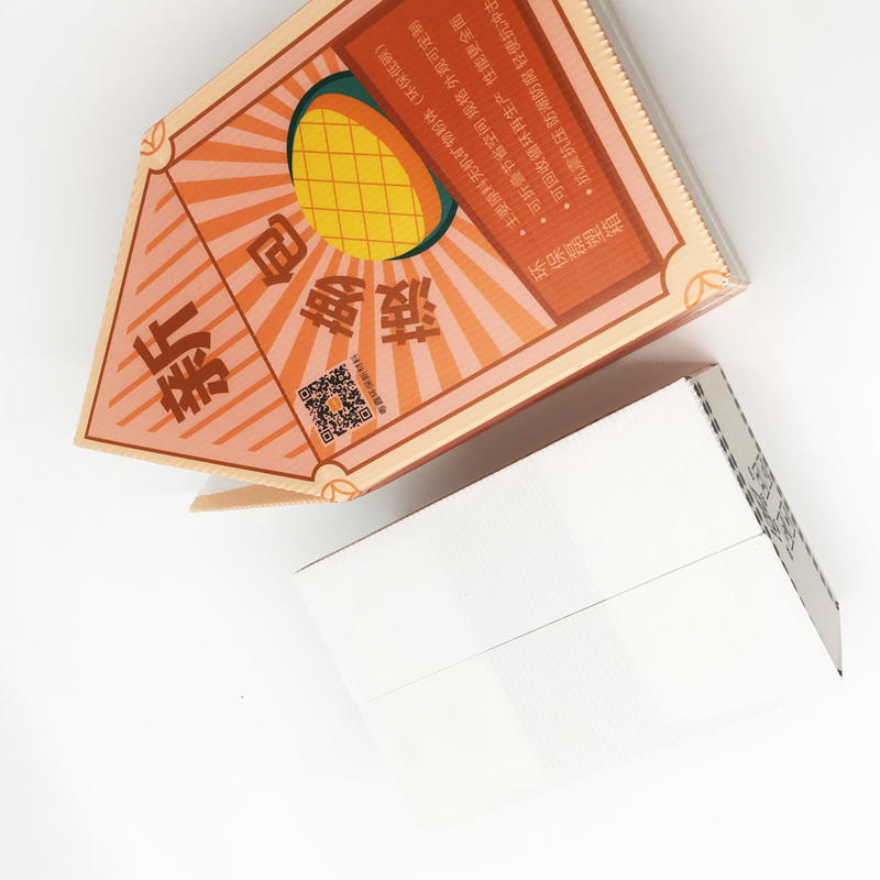 Colorful Printing Carbonate Corrugated Carton Box Full Screen For Food Storage