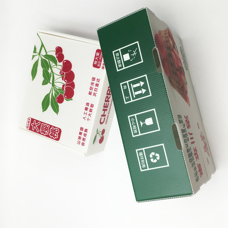 Moisture Resistance  Frozen Food Carton Corrugated PP Box HD Printing Honeycomb