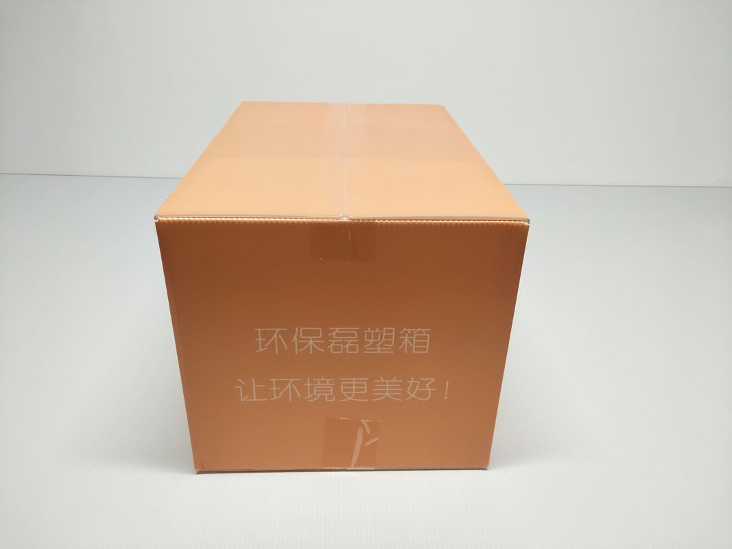 Degradable Reusable Corrugated Plastic Boxes Hand Carry OEM ODM