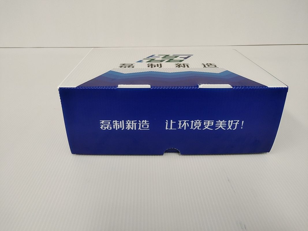 SGS Shoe Plastic Corrugated Foldable Boxes 250*150*60mm