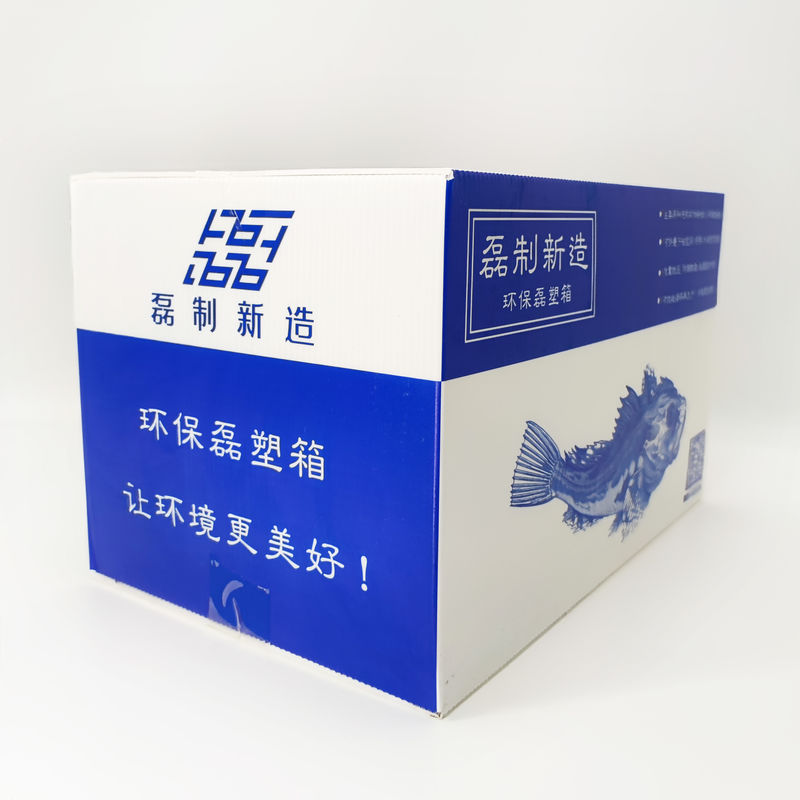 Waterproof Stackable Reusable Corrugated Plastic Boxes Seafood Packaging