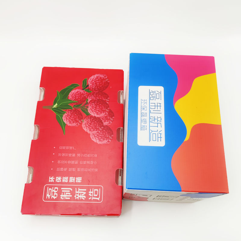 5mm Corrugated Plastic Packaging Boxes Leiser Recycling Carton Boxes