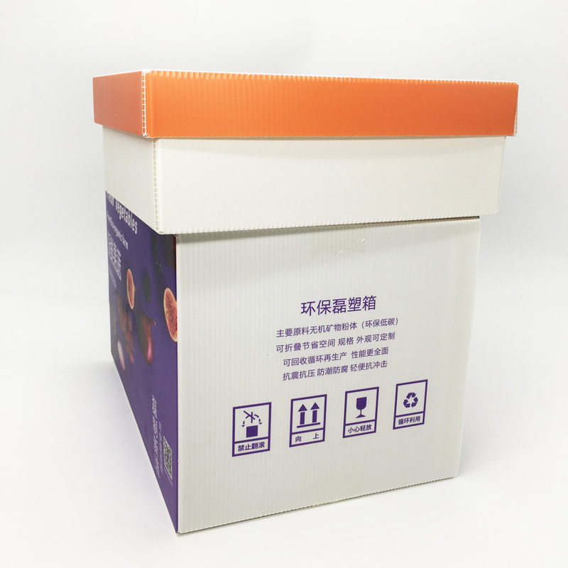 Anti Rodent Corrugated Plastic Storage Boxes 2.0mm Reusable Promotion Display Box On Shelf